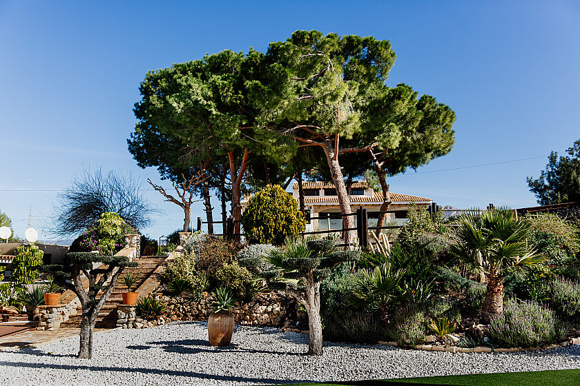 A propos de nous in Hotel Boutique Canelobre