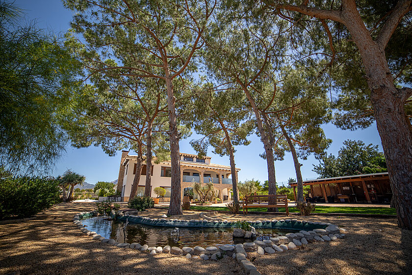  in Hotel Boutique Canelobre